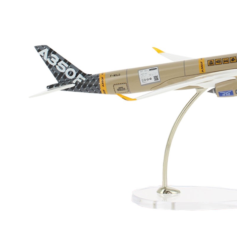A350F 1:100 scale model special livery